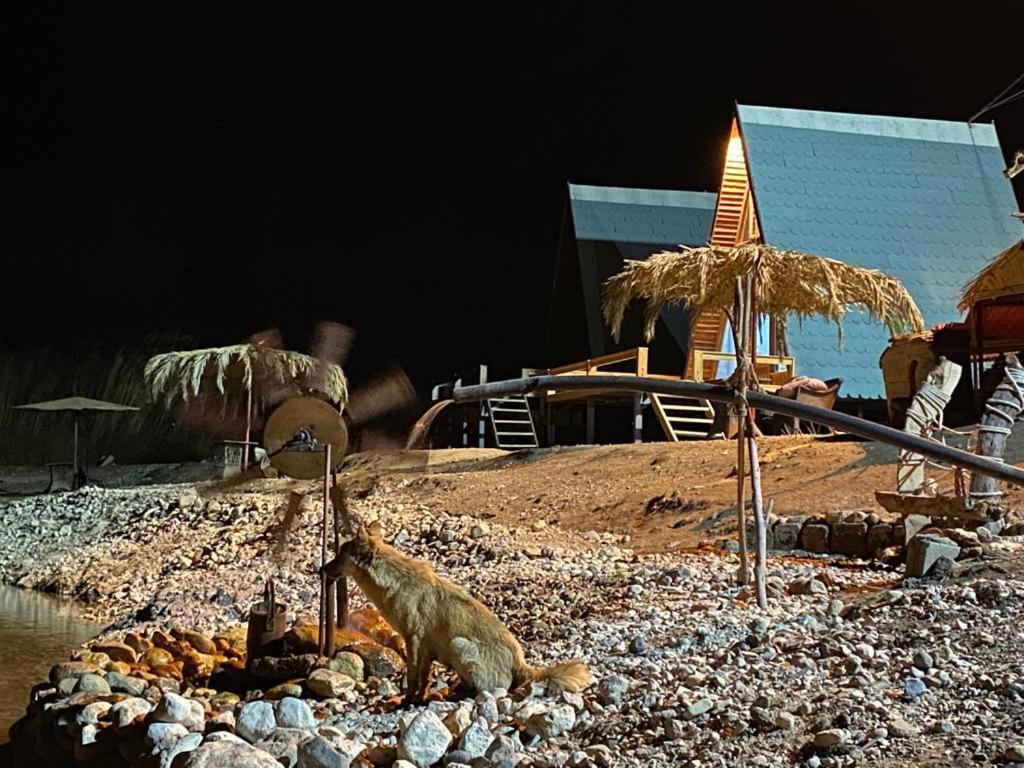 Wadi Al-Hassa Camp Hotel Khawkhah Exterior foto